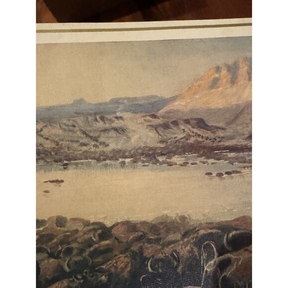 Vintage Wildlife Print Buffalo on the Move Bison Herd Western Americana Art READ - Picture 7 of 9